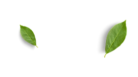 Untitled design-2.png