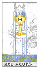 圣杯1.png