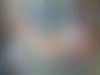 Exhibiting the Missing Species Project