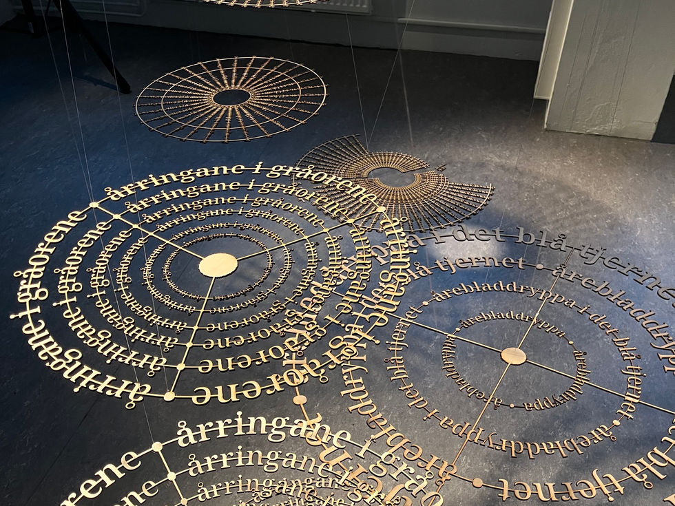 Poetry installations: Natures fragility