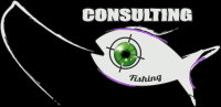 CONSULTING fishing