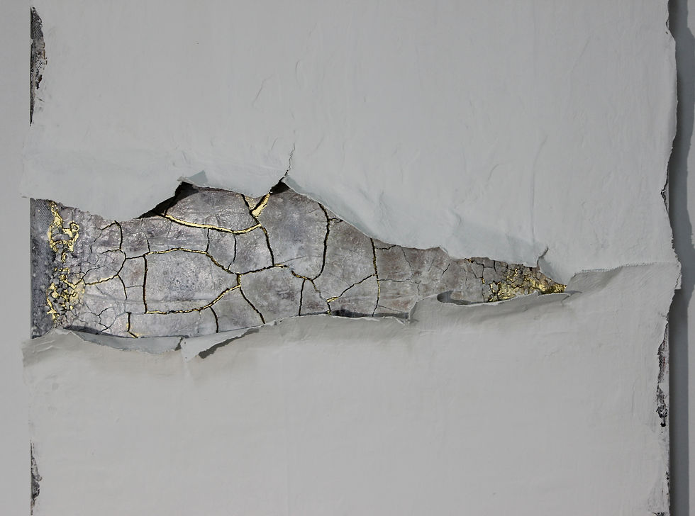 Miniaturbild: BROKEN BEAUTY I and II
