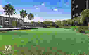 grand lawn in meyer mansion