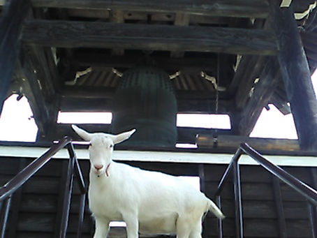 梵鐘お休みのお知らせ