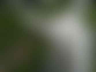 お陰さまで 親しんで頂いています💙