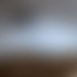 双子の除角・・・