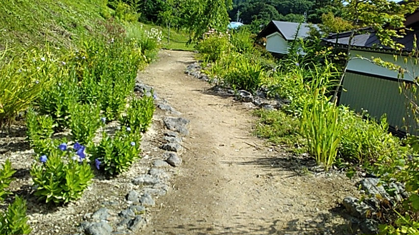 山野草園開園しました。