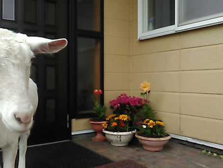 梵鐘お休みのお知らせ