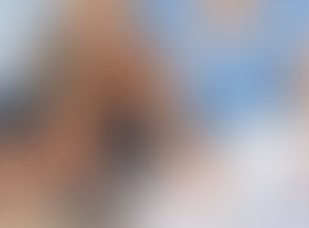 Principales razones por las que fracasan las startups