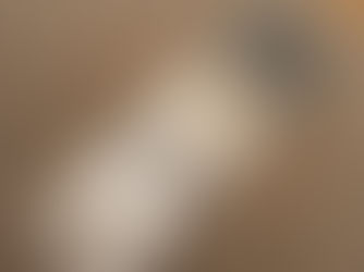 Regular la temperatura y apagar luces y escaparates, primeras medidas energéticas en aplicarse