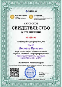 Certificate_prezentatsiya_problemy_adapt