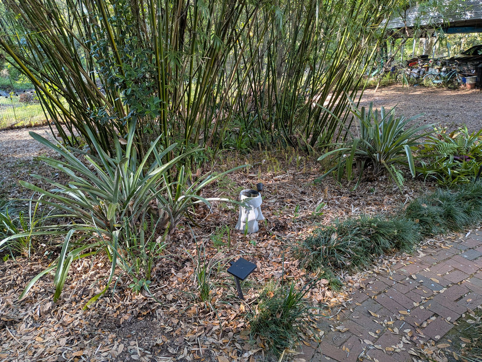PXL_20260331_212717019