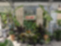 PXL_20220624_130219528.MP.jpg