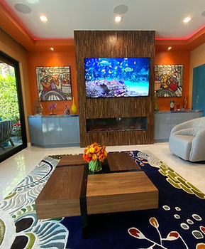Modern custom designed living room