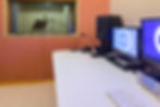 estudio d new