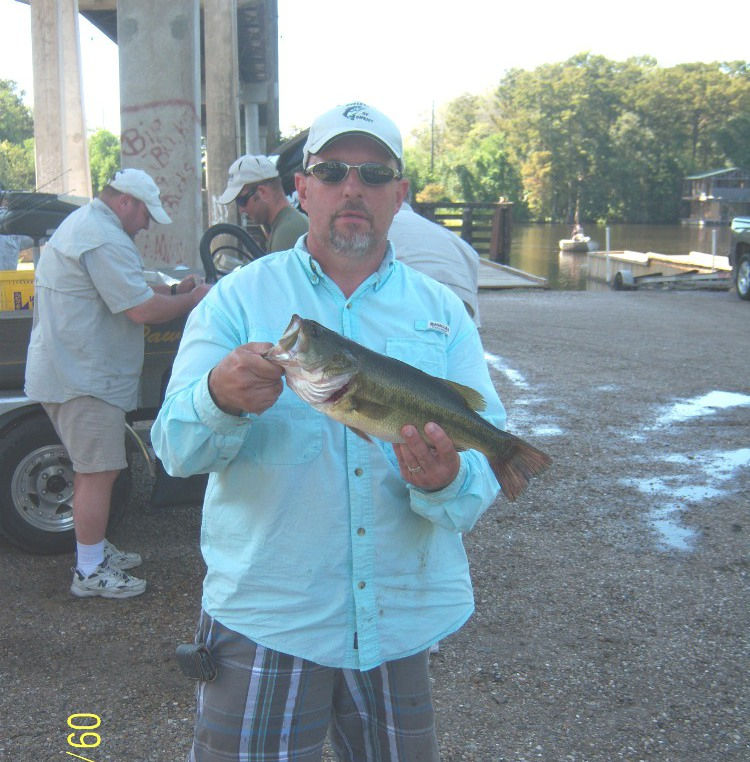 Tim Big Fish