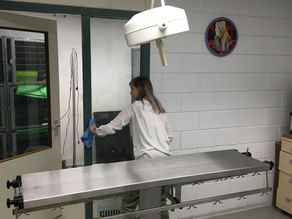 Ontdek de Schoonmaakdiensten van Olympus Schoonmaak B.V. in Lelystad