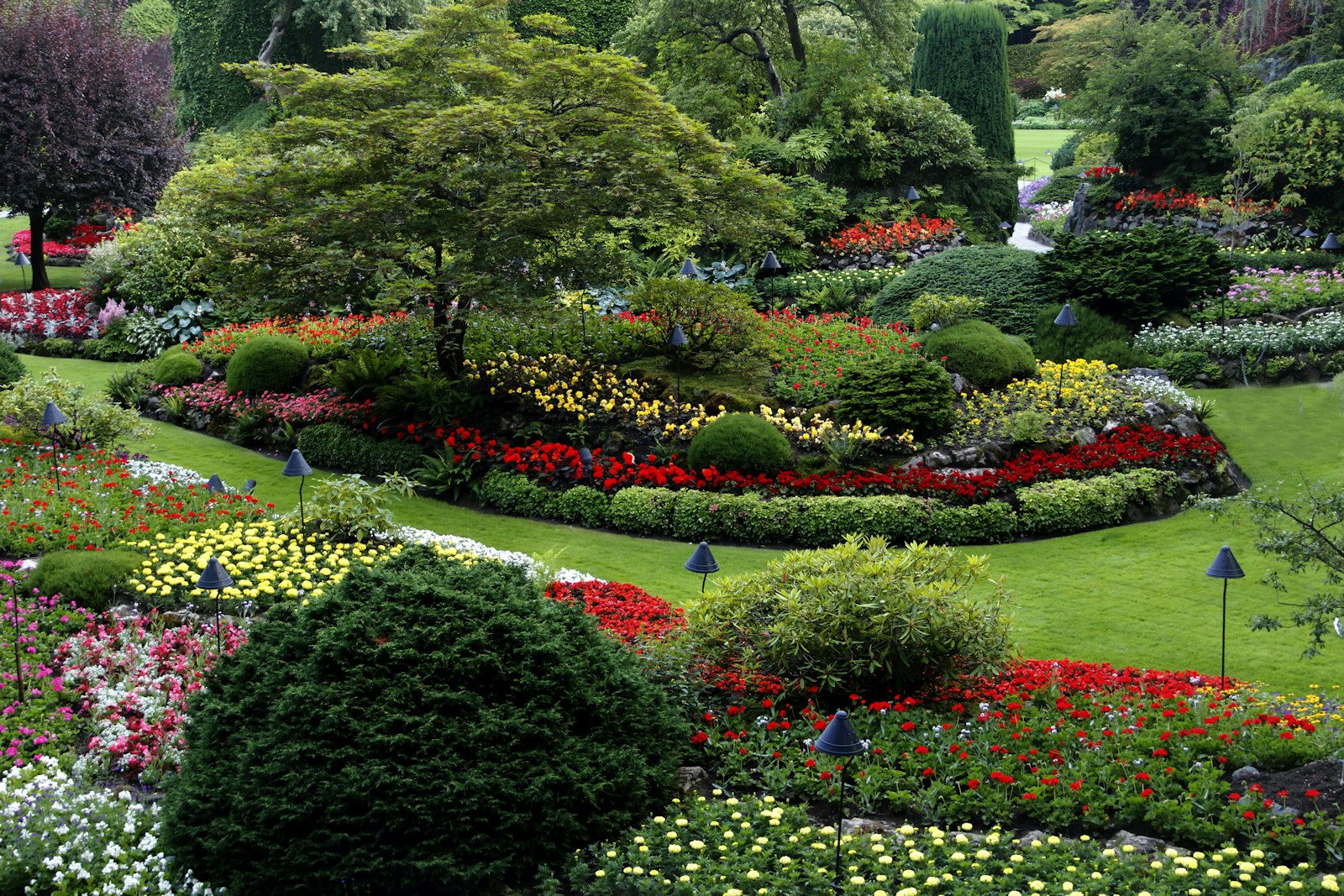 Flower beds and manicured shrubs