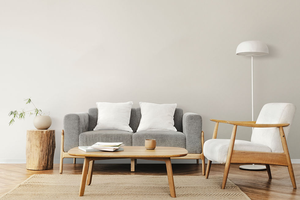 sala-estar-diseno-interiores-escandinavo.jpg