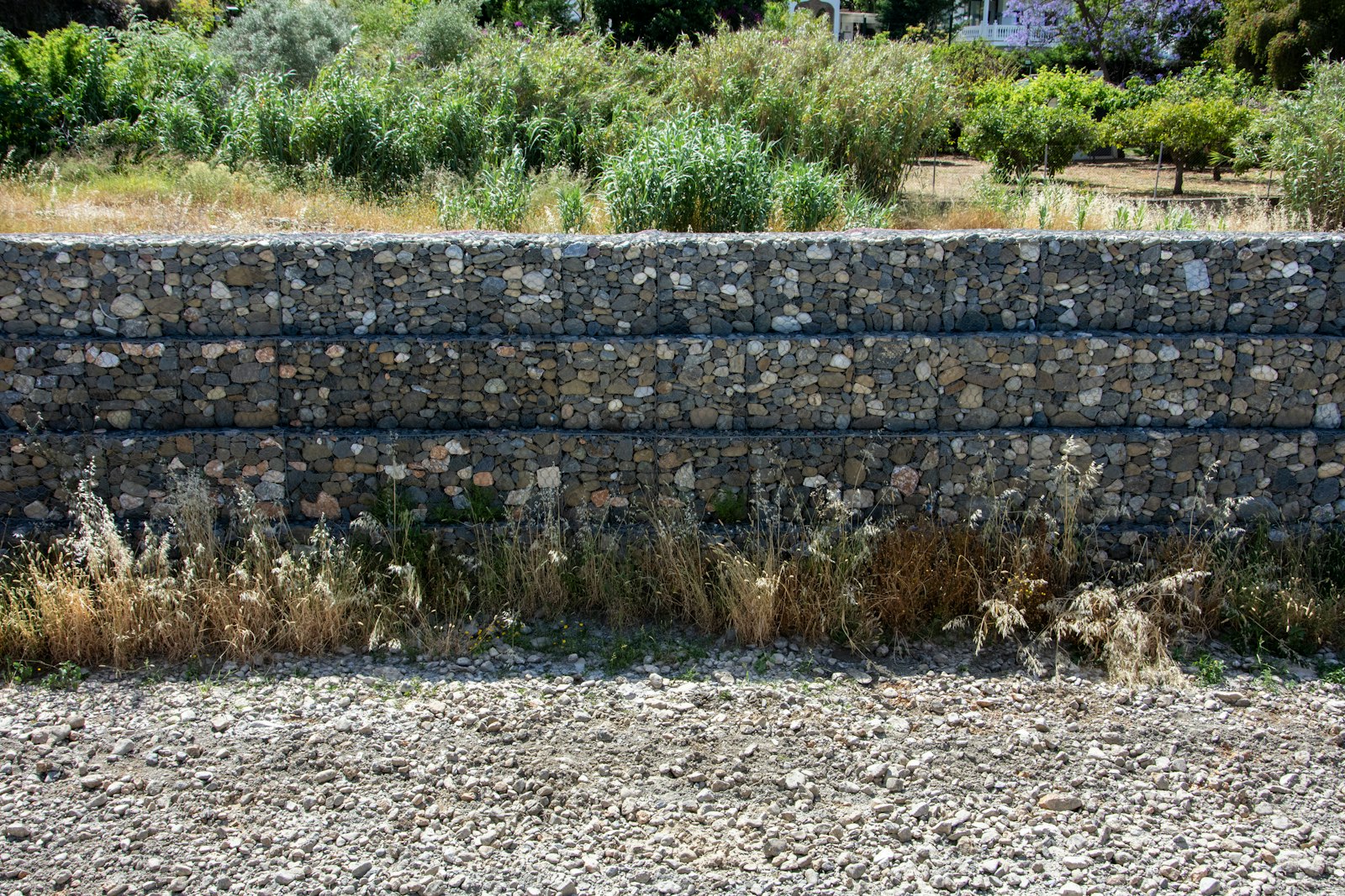 Stone and wire gabion wall with plants