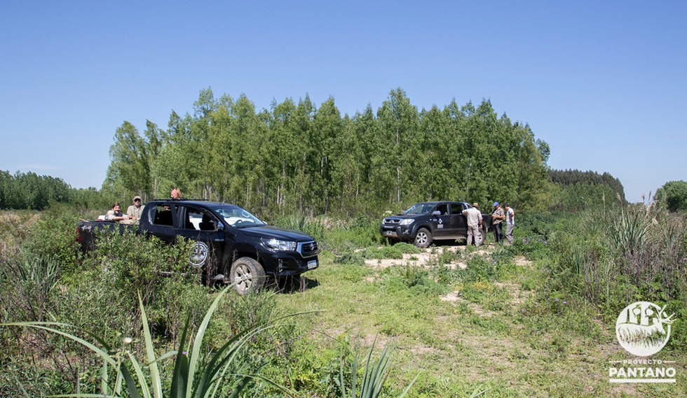 Apoyo TOYOTA