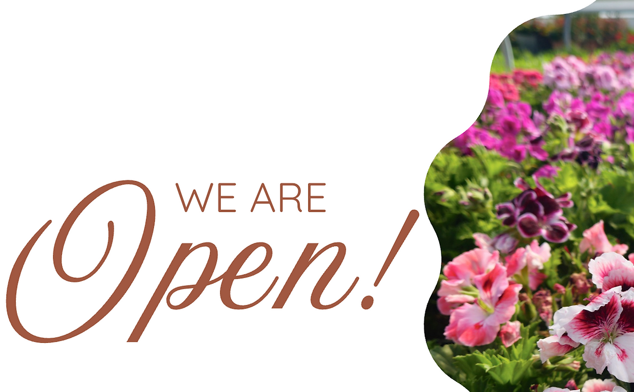 Screenshot 2026-04-05 at 9.44.45 PM.png