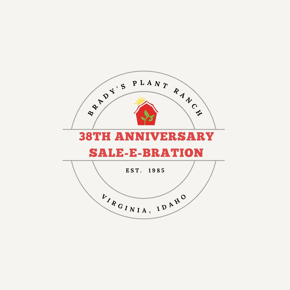 Anniversary Sale-e-bration—“Disney Days”