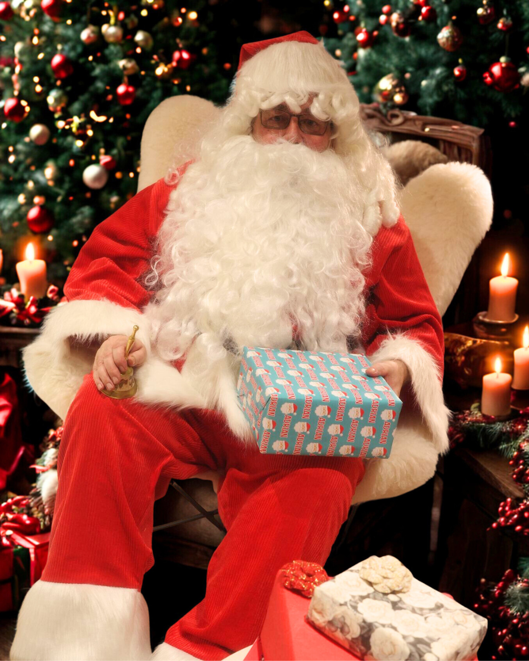 Santa & Christmas tours in Lapland