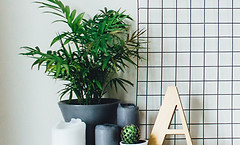 Plants and Candles