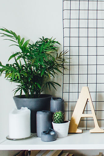 Plants and Candles