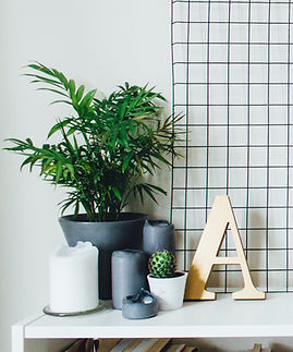 Plants and Candles