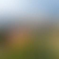 Saunowanie na świecie - tradycje i korzyści