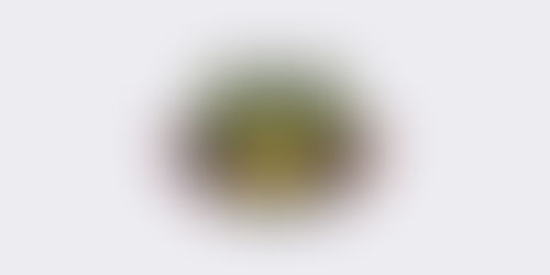 Ras Plant Based: Restaurant Review