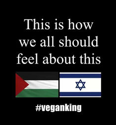 How we all should feel about Israel vs Palestine.