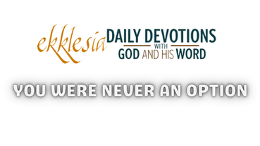 You Were Never an Option