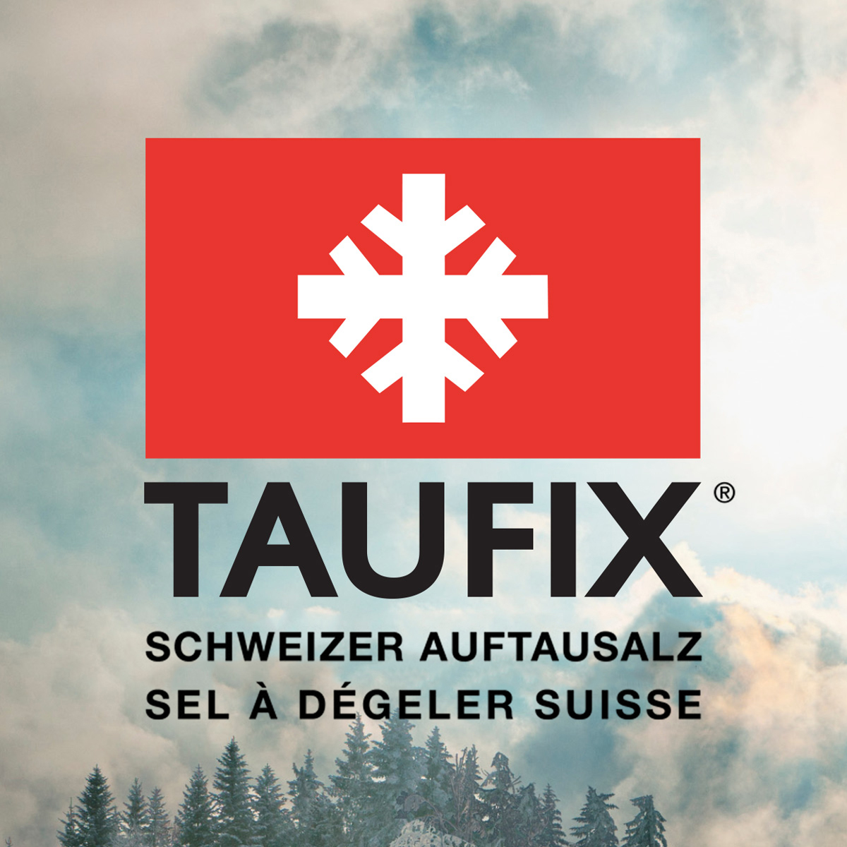 Logo Design mit Umgebung