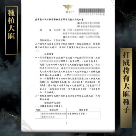 【謙聖|毒品案件分享】種植二級毒品大麻,打成持有大麻種子,免除牢獄之災 !