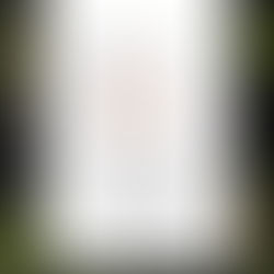 【謙聖｜詐欺案件分享】️向大陸地區民眾實施詐術，電信機房詐騙案🔸緩刑🔸️