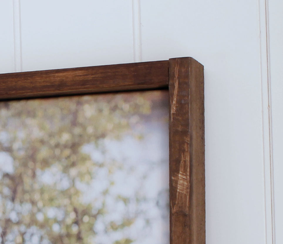 Frame Close Up
