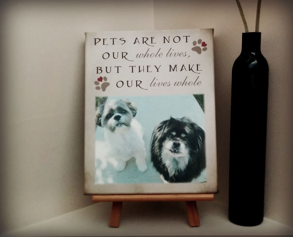 Pet Canvas - ID# PET013