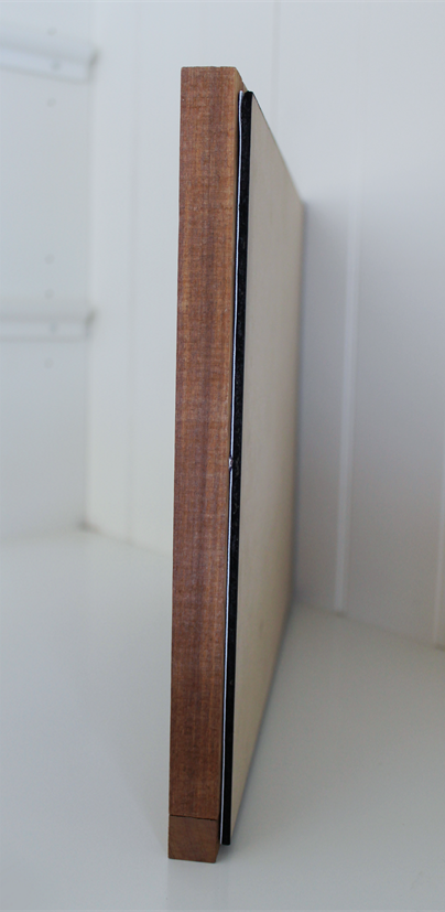 Side View
