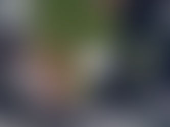 In Cyclone Idai's wake