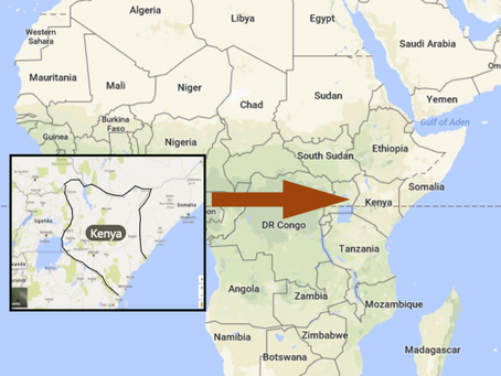 Focus on integrity of Kenya's elections