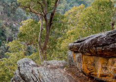 Blue Mountains NSW Australia
Yellow Rock Lookout