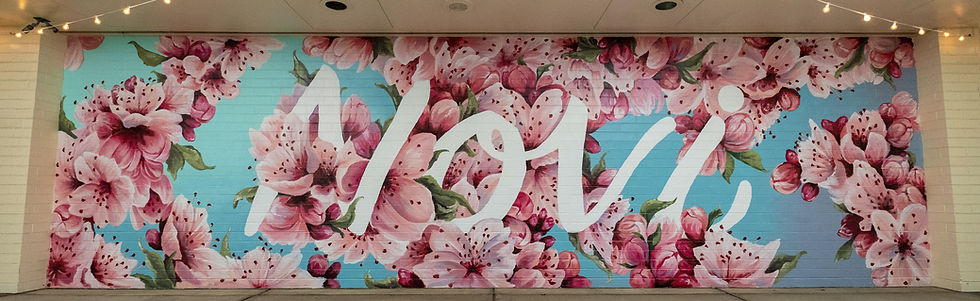 Tess Marhofer Novi Town Center Cherry Blossom Mural
