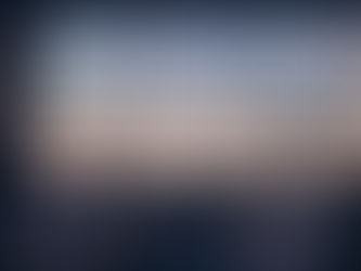 The Hidden Cost of Silence: A Cautionary Tale of Character and the 155 Visa