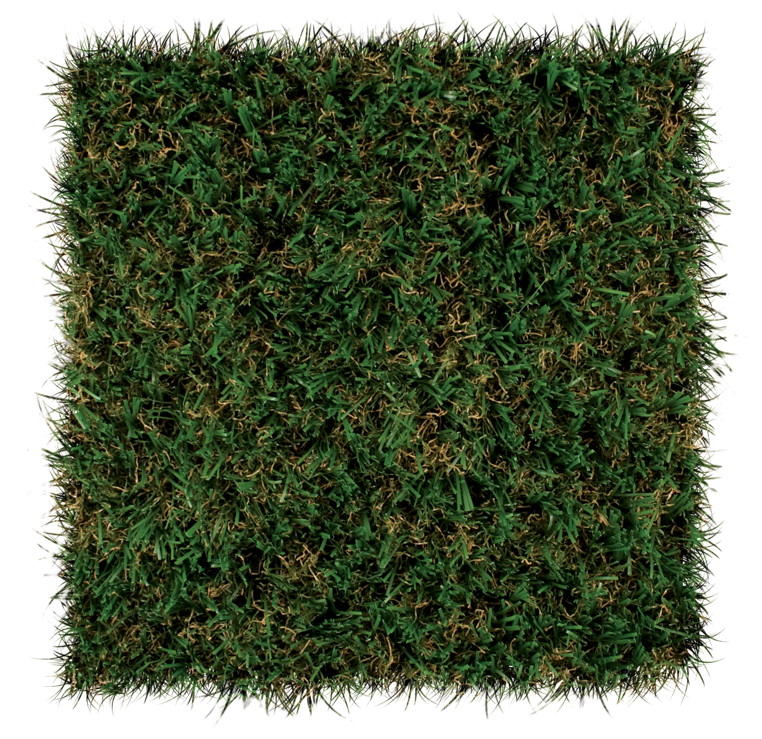 foreverlawn-select-el_6918527135_o.jpg