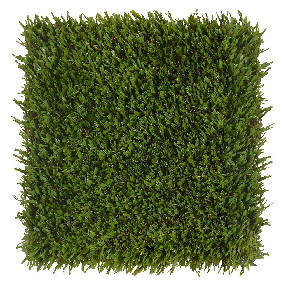 k9grass-sport_52732381746_o.jpg