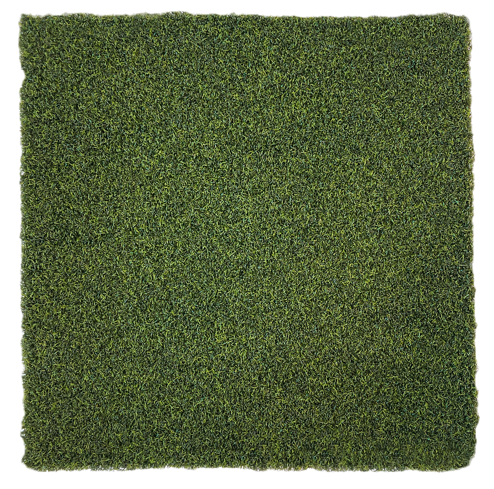 golfgreens-trueputt-augusta_52953170074_o_edited.png