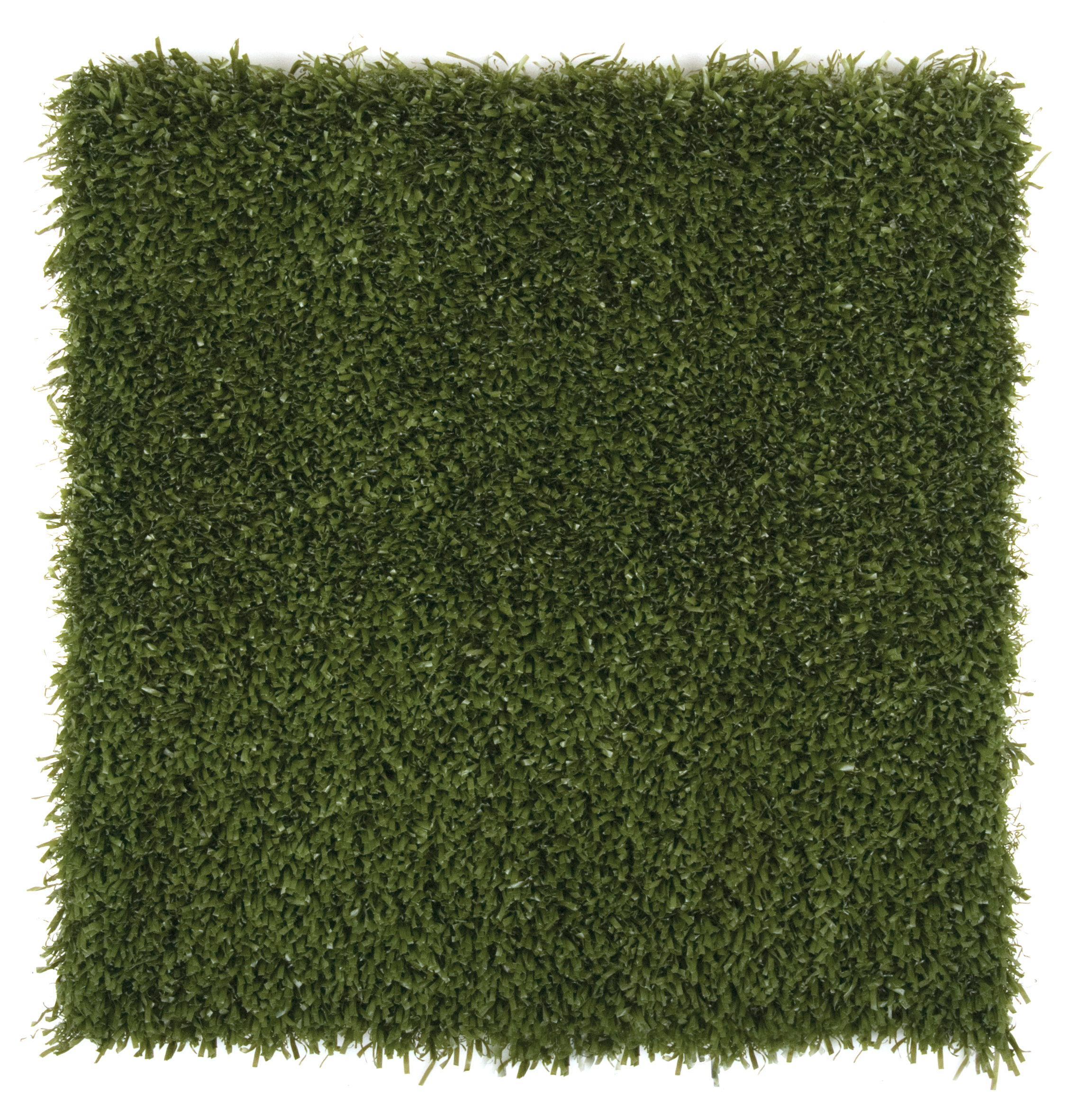 k9grass-classic_50698652778_o.jpg